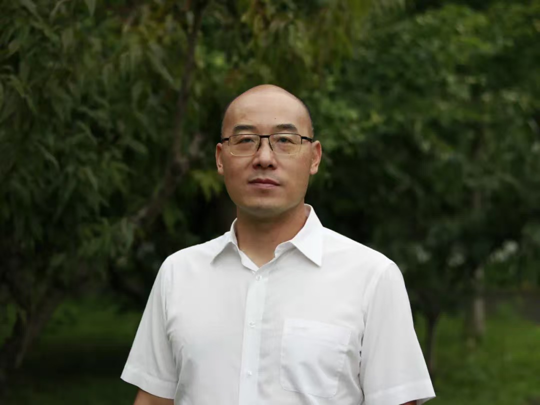 张磊律师
