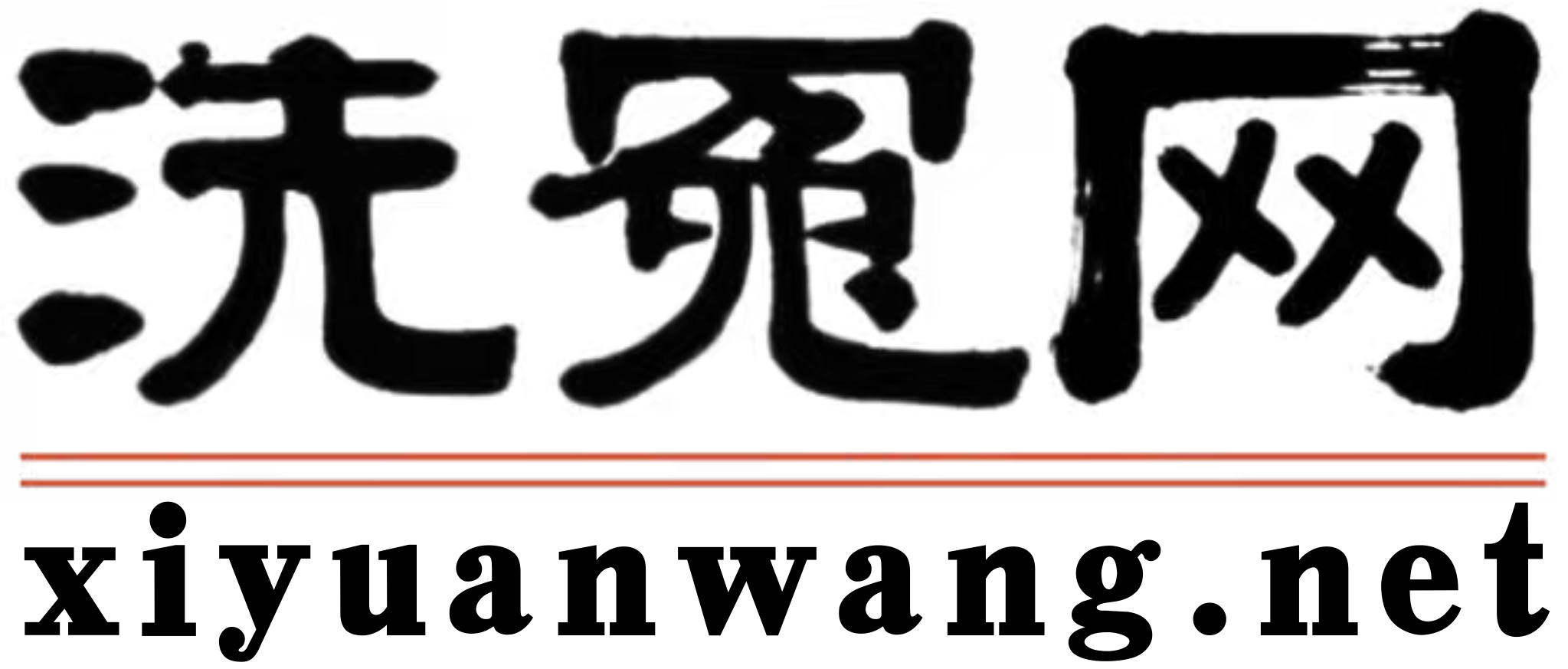 洗冤刑辩团队国际组