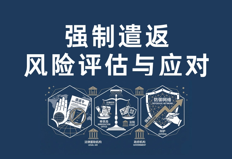 强制遣返风险评估与应对