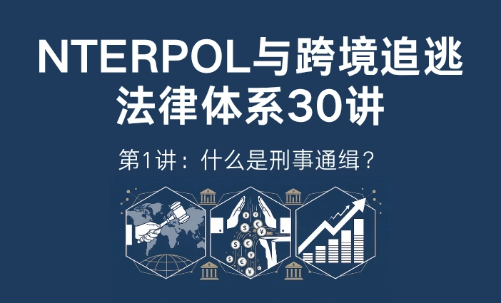 刑事通缉是什么意思？通缉和上网追逃有什么区别 | 国际刑警(INTERPOL)与跨境追逃30讲第1讲