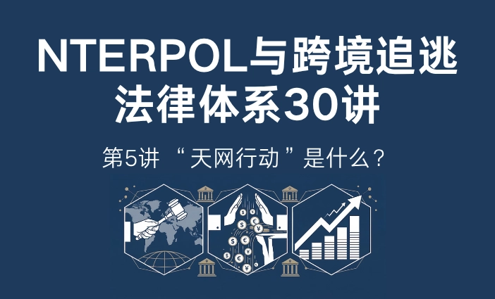 "天网行动"是什么 | 国际刑警(INTERPOL)与跨境追逃30讲第5讲