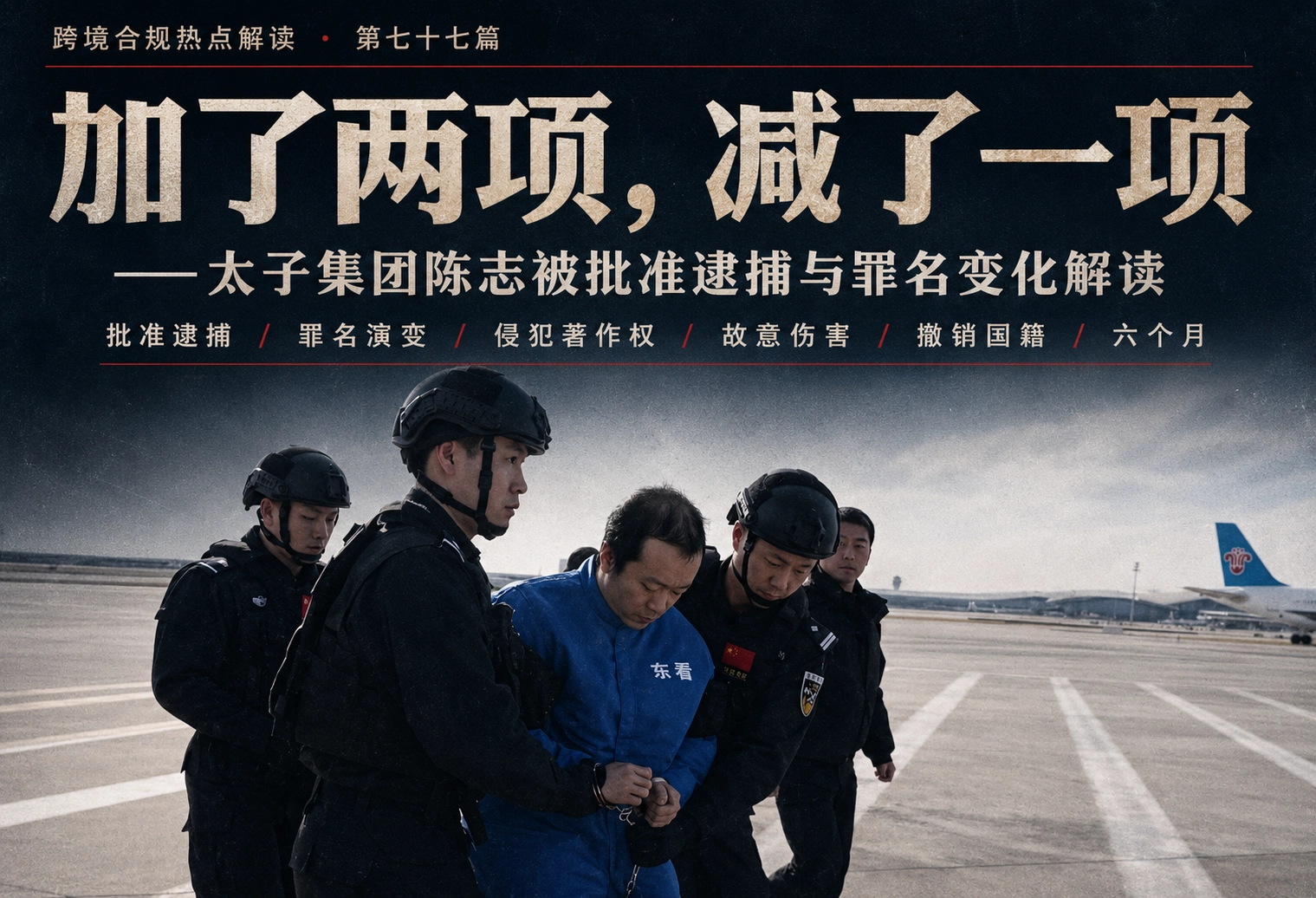 加了两项，减了一项——太子集团陈志被批准逮捕与罪名变化解读 